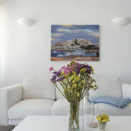 Hahn Villa Naxos City